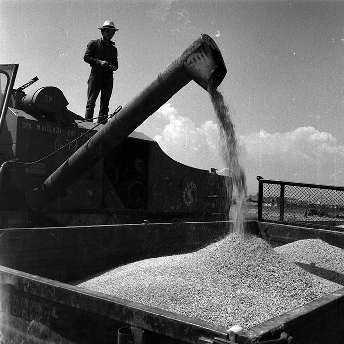 minerva_1970_Agrare_c1_c7r3_001