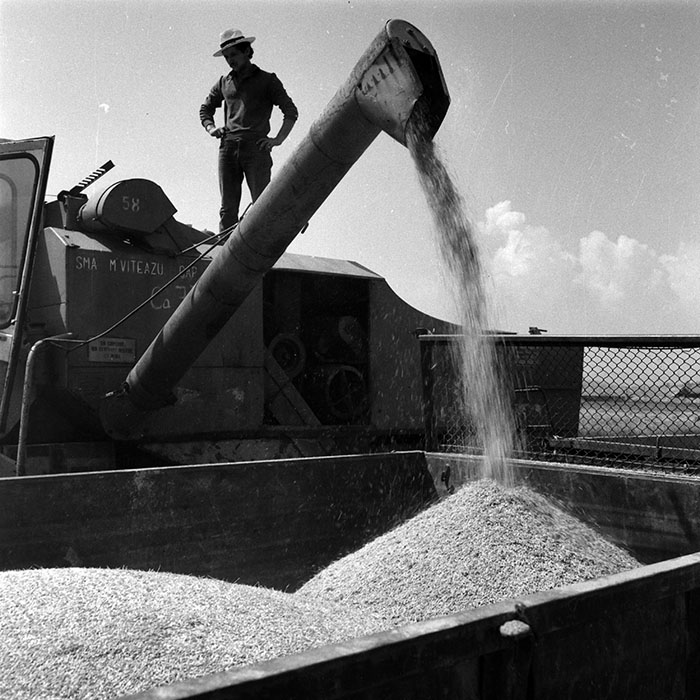 minerva_1970_Agrare_c1_c7r3_002