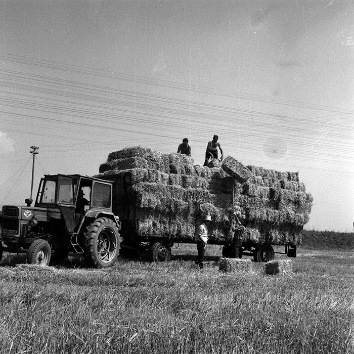 minerva_1970_Agrare_c1_c7r3_003