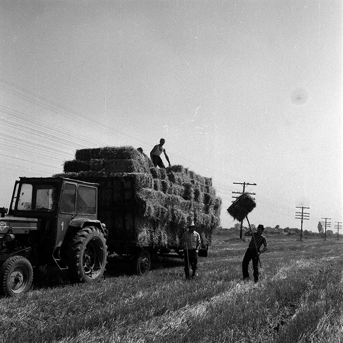 minerva_1970_Agrare_c1_c7r3_006