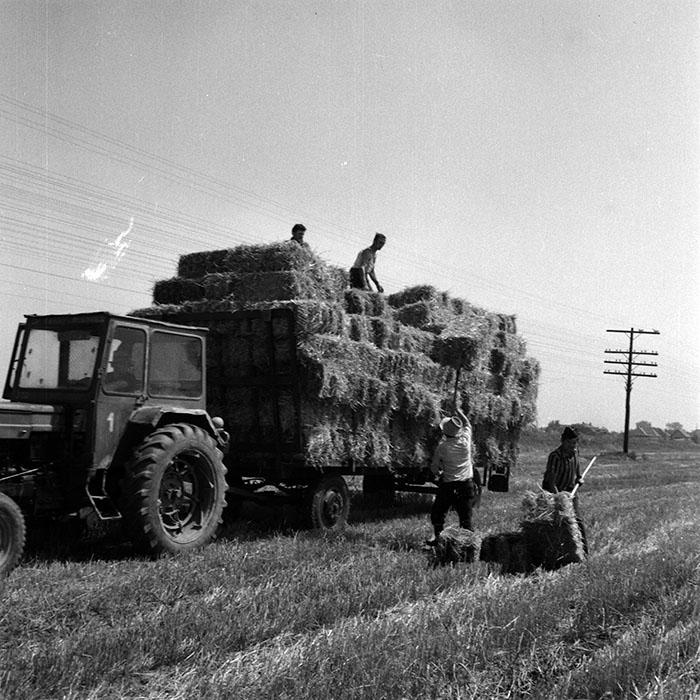 minerva_1970_Agrare_c1_c7r3_007