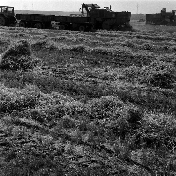 minerva_1970_Agrare_c1_c7r3_009