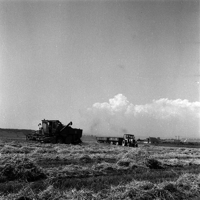 minerva_1970_Agrare_c1_c7r3_011