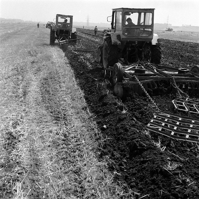 minerva_1970_Agrare_c1_c7r3_012