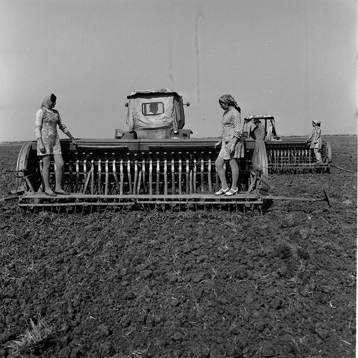 minerva_1970_Agrare_c1_c7r4_002