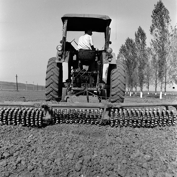 minerva_1970_Agrare_c1_c7r4_004