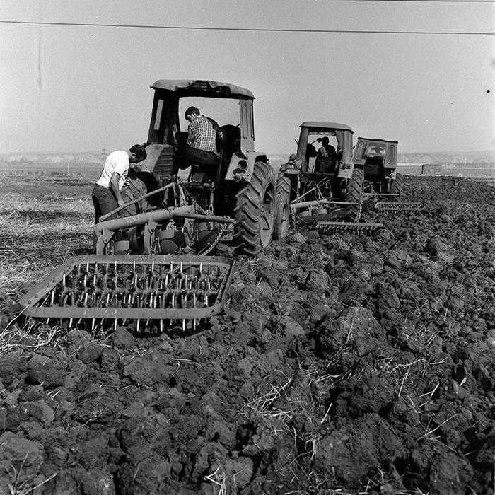 minerva_1970_Agrare_c1_c7r4_005