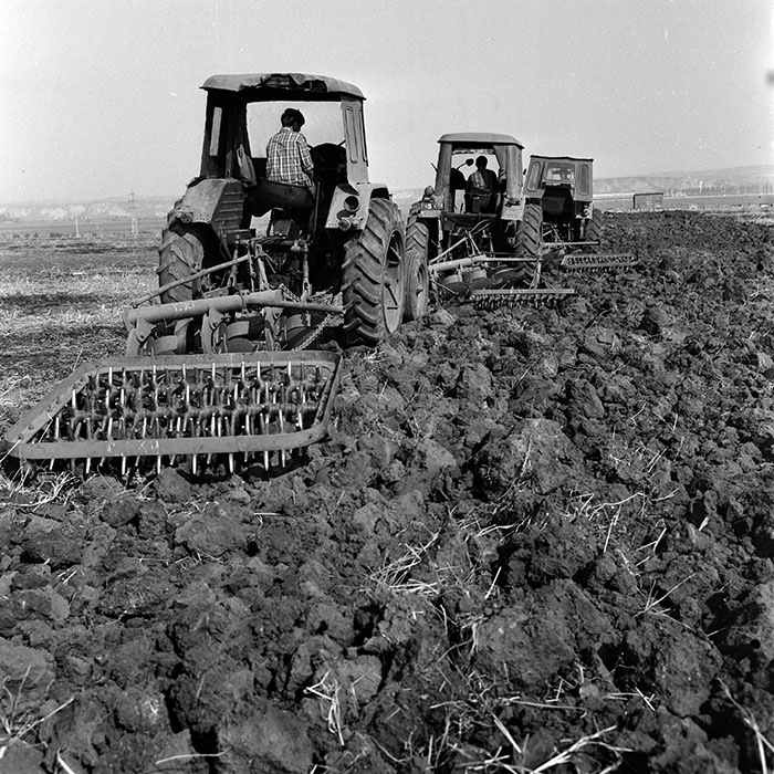 minerva_1970_Agrare_c1_c7r4_006