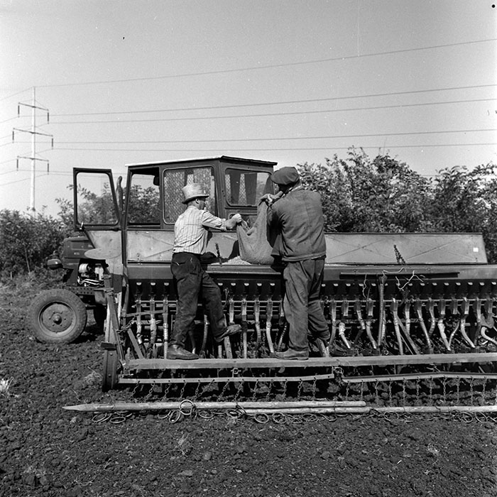 minerva_1970_Agrare_c1_c7r4_009