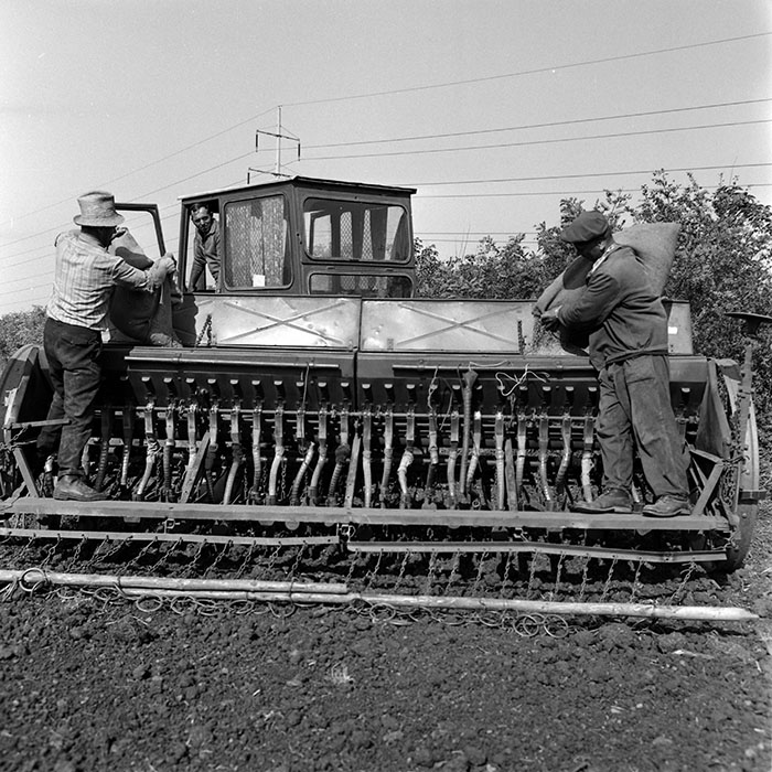 minerva_1970_Agrare_c1_c7r4_010