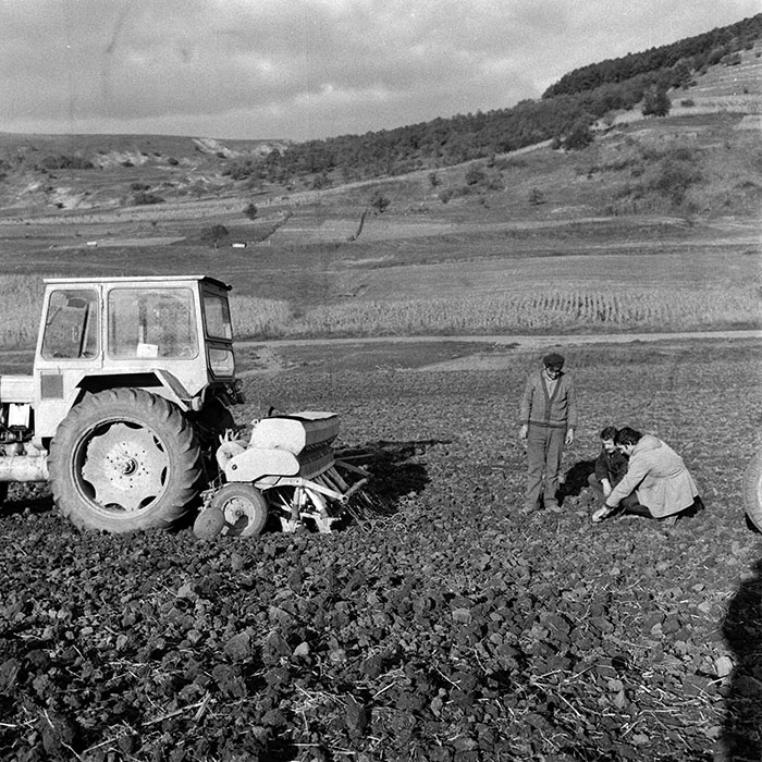 minerva_1970_Agrare_c1_c7r4_018