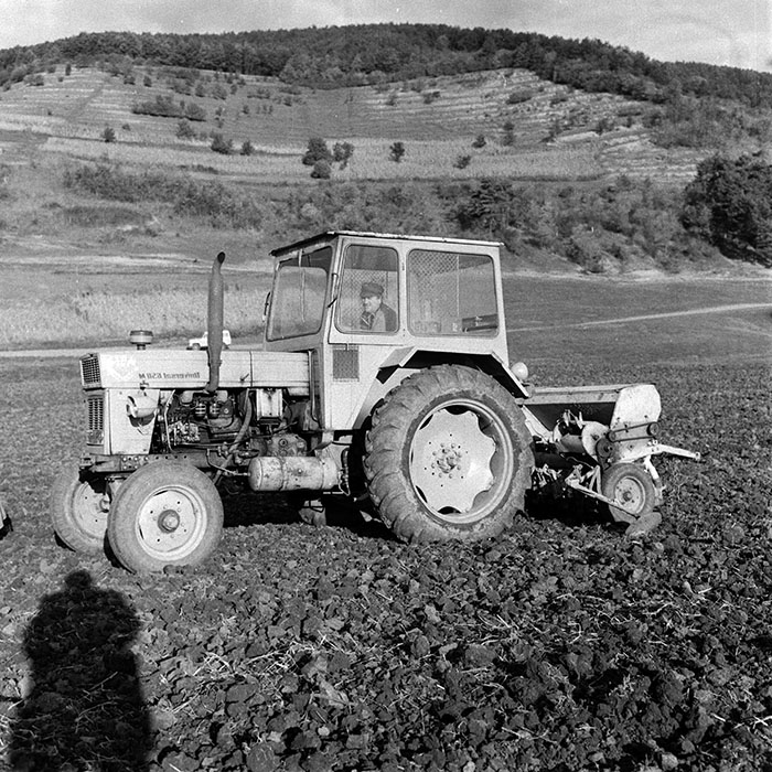 minerva_1970_Agrare_c1_c7r4_019