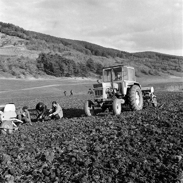 minerva_1970_Agrare_c1_c7r4_022