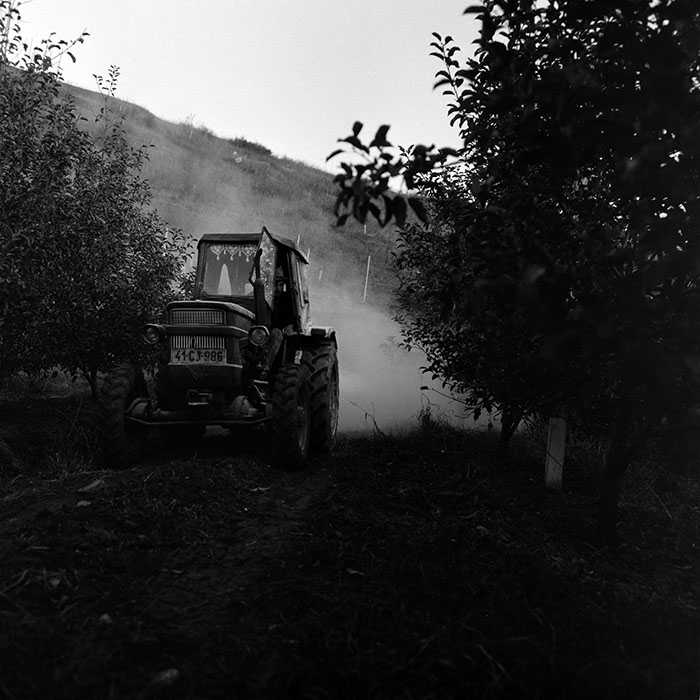 minerva_1970_Agrare_c1_c7r4_026