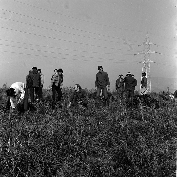 minerva_1970_Agrare_c1_c7r4_030