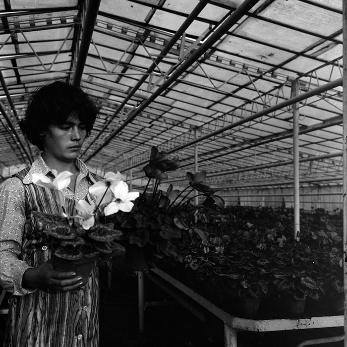 minerva_1970_Agrare_c1_c7r4_032