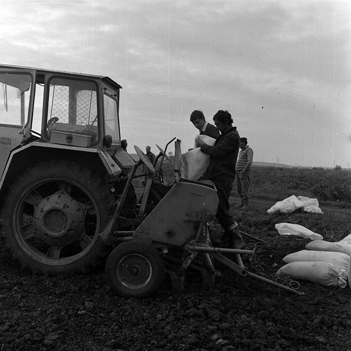 minerva_1970_Agrare_c1_c7r5_011