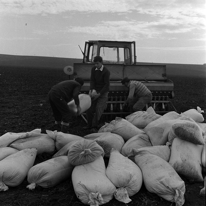 minerva_1970_Agrare_c1_c7r5_024