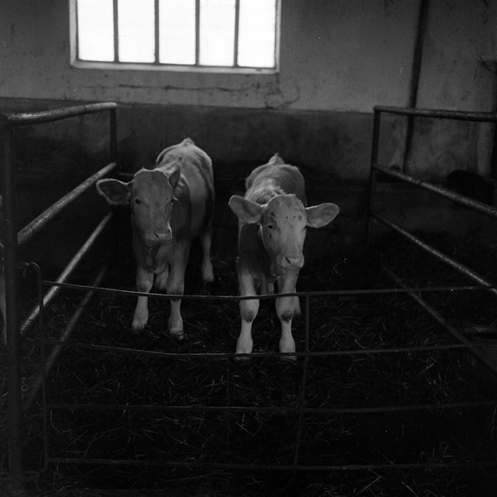 minerva_1970_Agrare_c1_c7r5_029