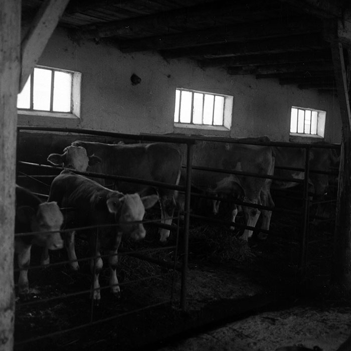 minerva_1970_Agrare_c1_c7r5_031