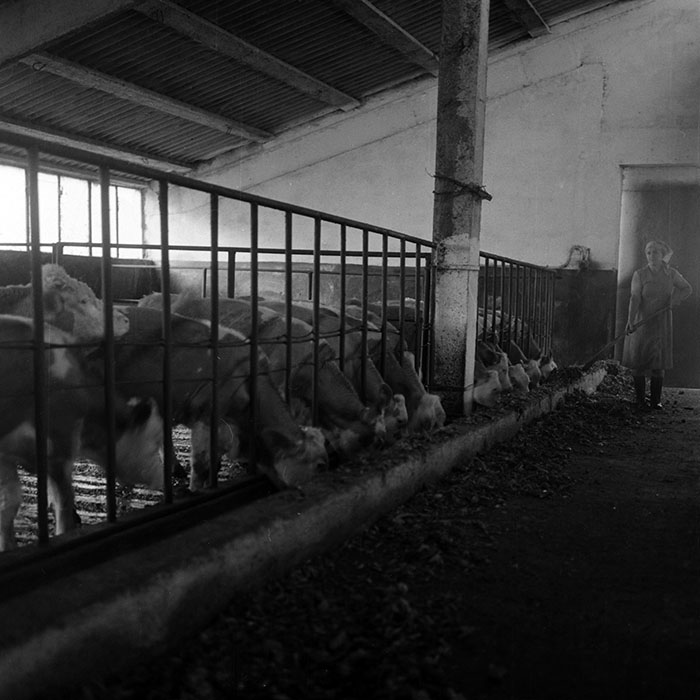 minerva_1970_Agrare_c1_c7r5_032