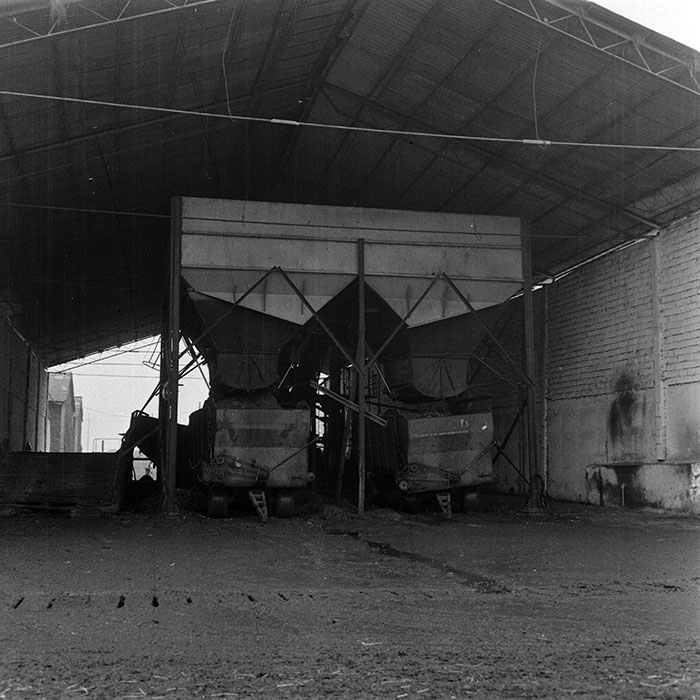 minerva_1970_Agrare_c1_c7r5_036