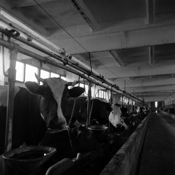 minerva_1970_Agrare_c1_c7r5_051