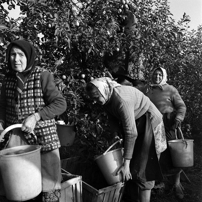 minerva_1970_Agrare_c1_c8r1_002