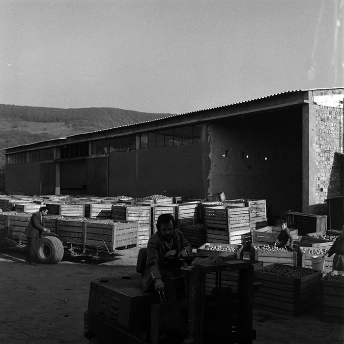 minerva_1970_Agrare_c1_c8r1_005