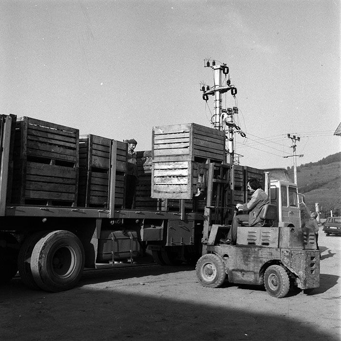 minerva_1970_Agrare_c1_c8r1_006