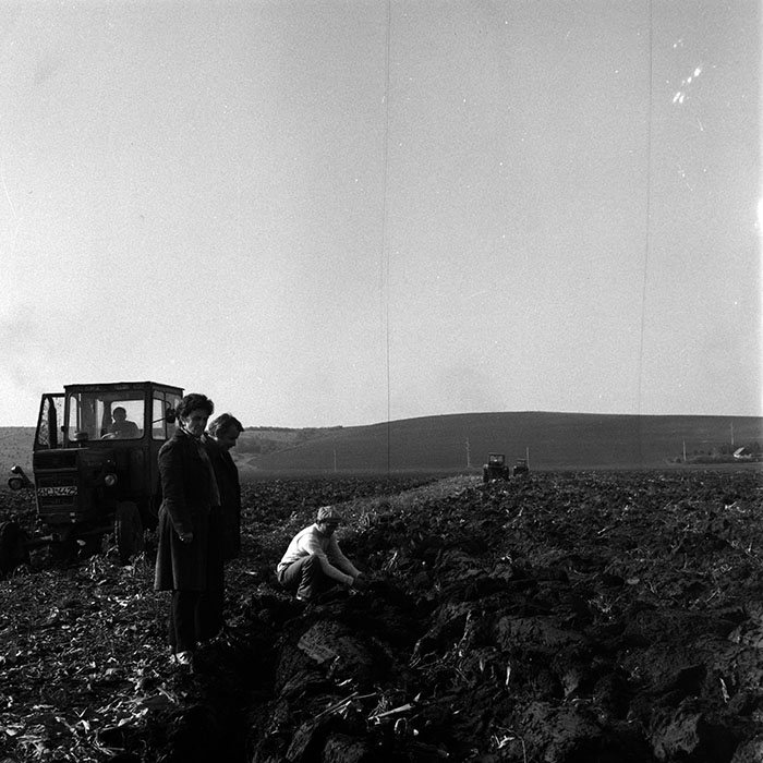 minerva_1970_Agrare_c1_c8r1_007