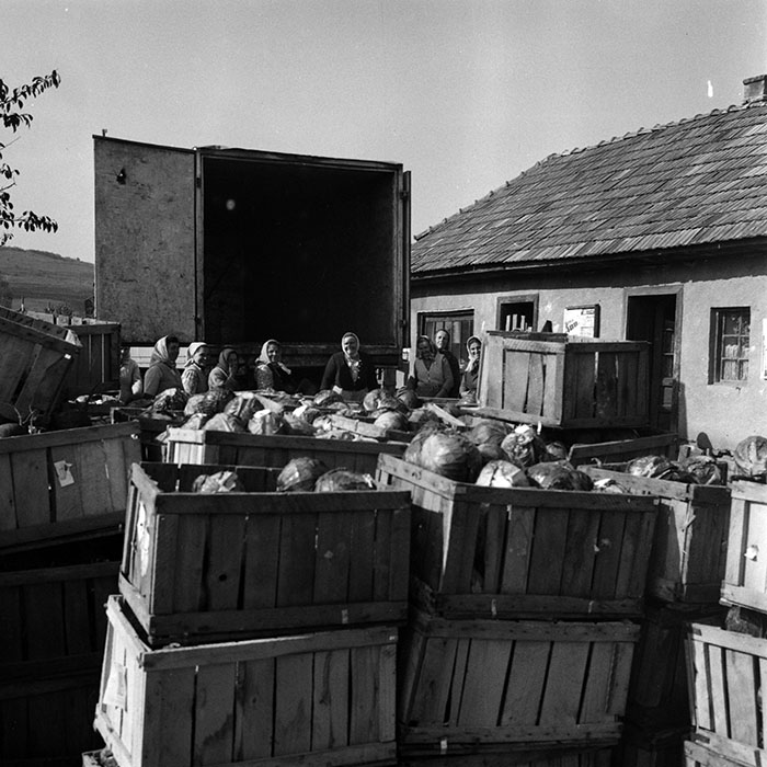 minerva_1970_Agrare_c1_c8r1_011