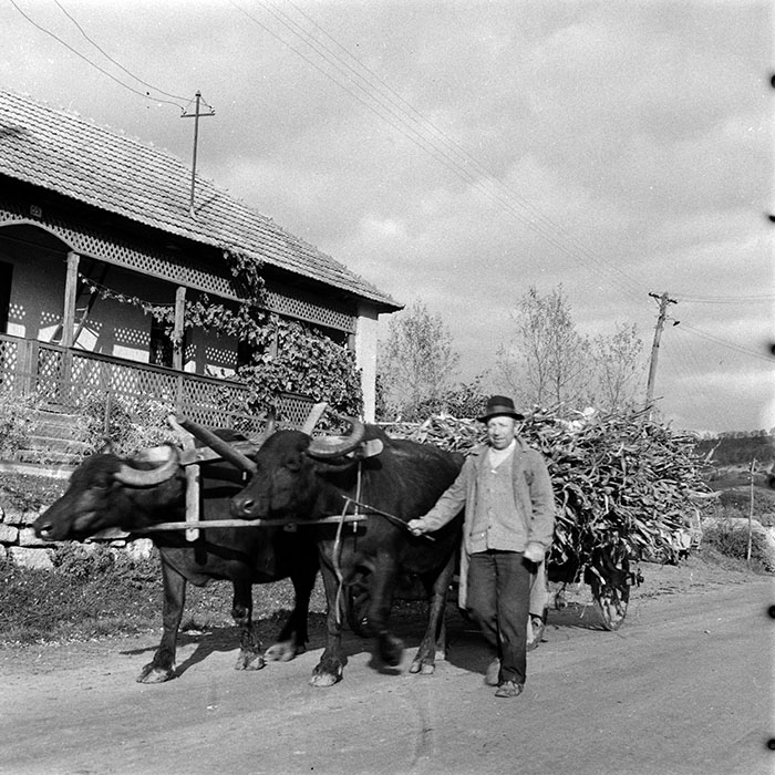 minerva_1970_Agrare_c1_c8r1_013