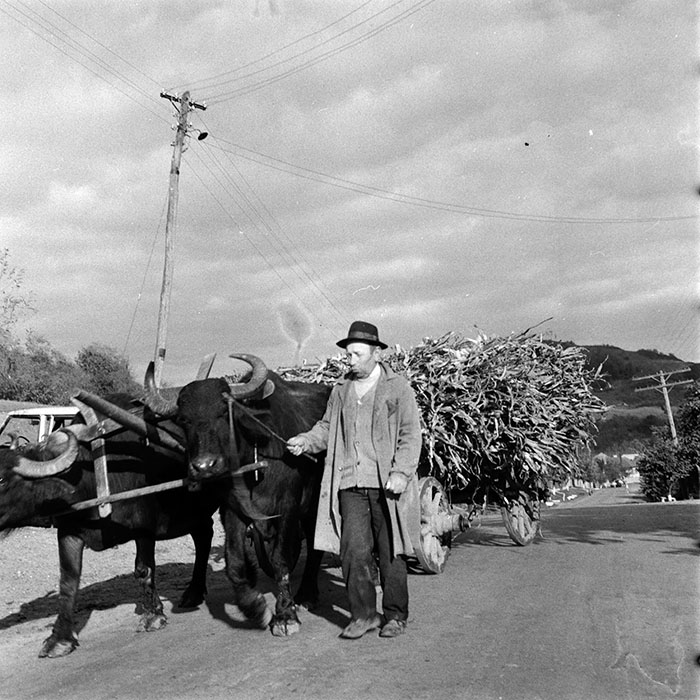 minerva_1970_Agrare_c1_c8r1_014