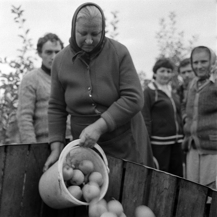 minerva_1970_Agrare_c1_c8r1_015