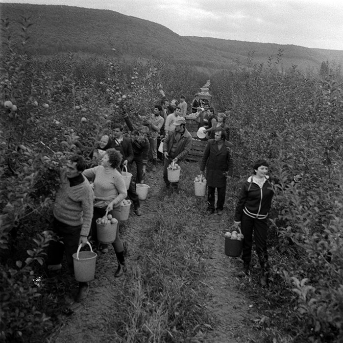 minerva_1970_Agrare_c1_c8r1_016