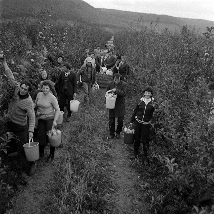 minerva_1970_Agrare_c1_c8r1_017