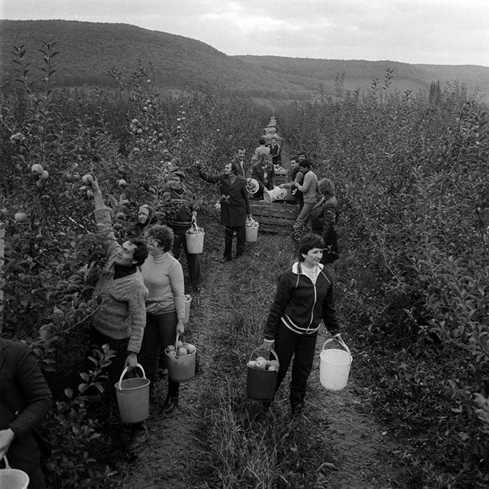 minerva_1970_Agrare_c1_c8r1_018