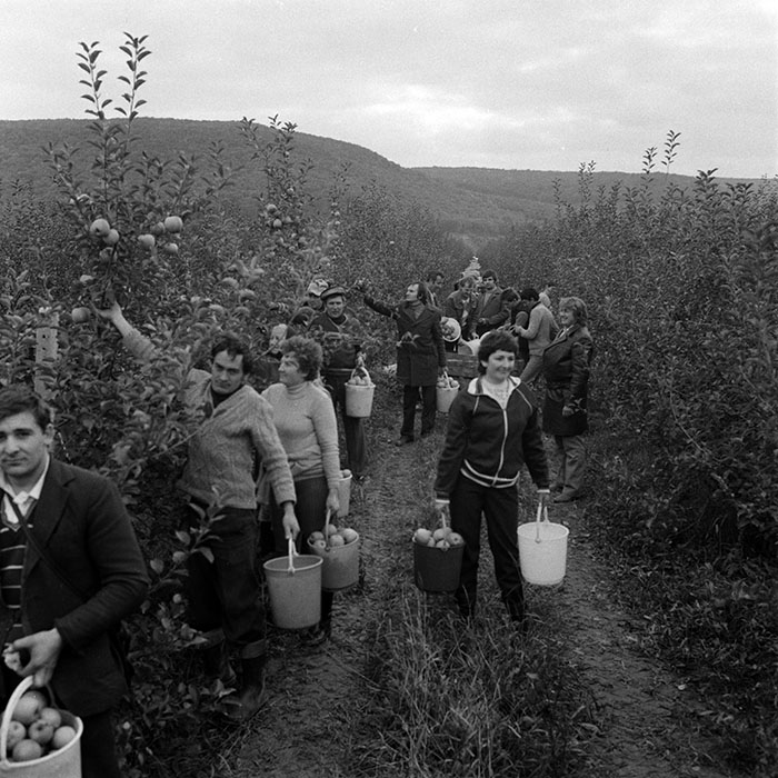 minerva_1970_Agrare_c1_c8r1_019