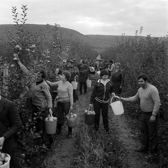 minerva_1970_Agrare_c1_c8r1_020