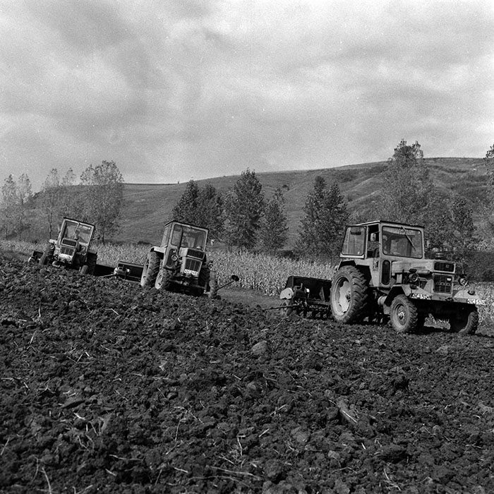 minerva_1970_Agrare_c1_c8r2_001