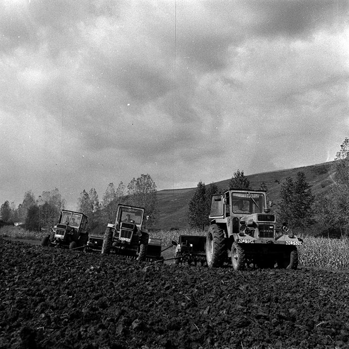 minerva_1970_Agrare_c1_c8r2_002