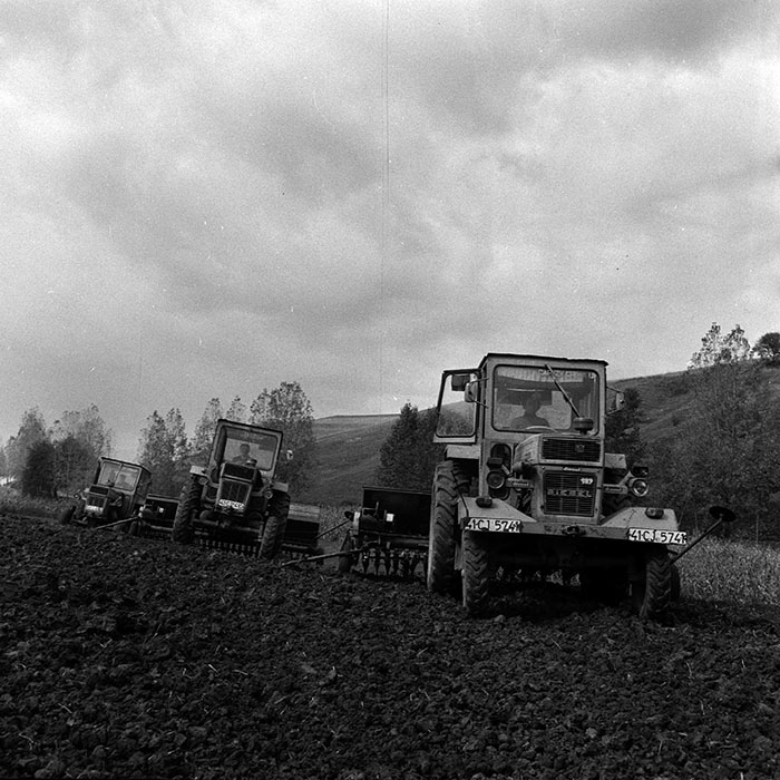 minerva_1970_Agrare_c1_c8r2_003