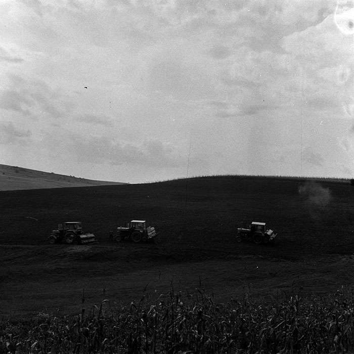 minerva_1970_Agrare_c1_c8r2_006