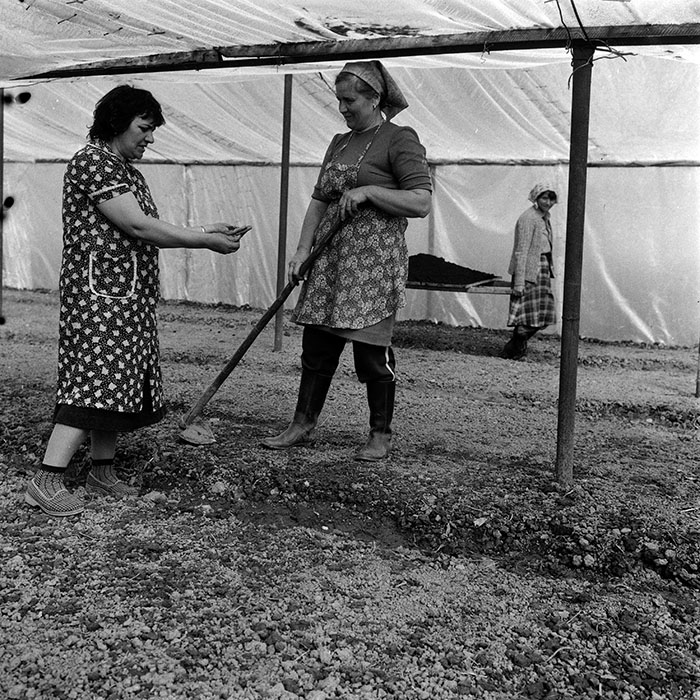 minerva_1970_Agrare_c1_c8r4_001