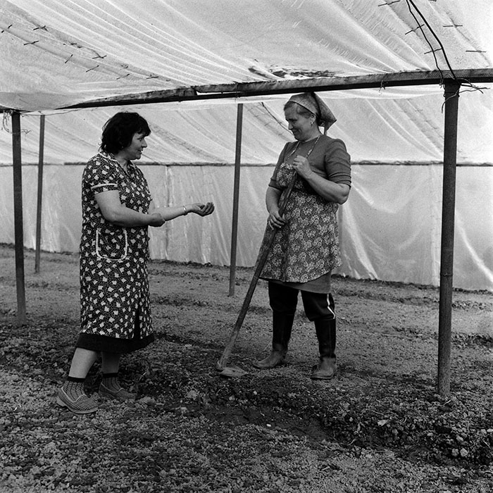 minerva_1970_Agrare_c1_c8r4_002