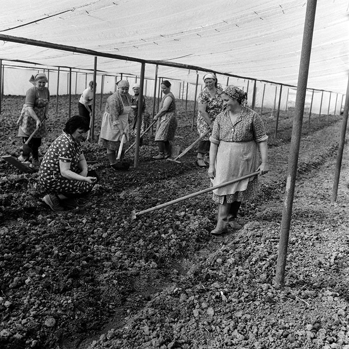 minerva_1970_Agrare_c1_c8r4_003