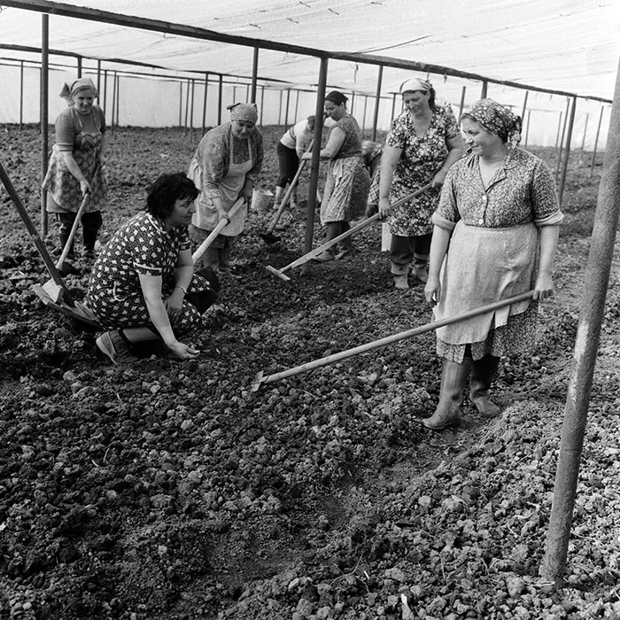 minerva_1970_Agrare_c1_c8r4_004