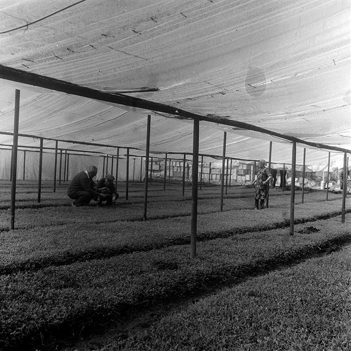 minerva_1970_Agrare_c1_c8r4_005