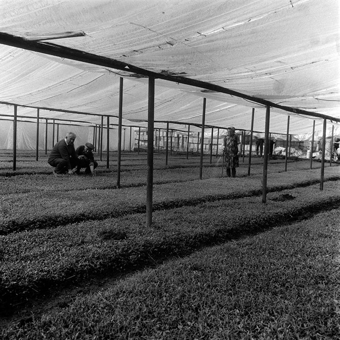 minerva_1970_Agrare_c1_c8r4_007